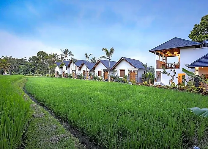 ホテル Ascarya Ubud バリ島