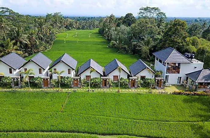 ホテル Ascarya Ubud 4*